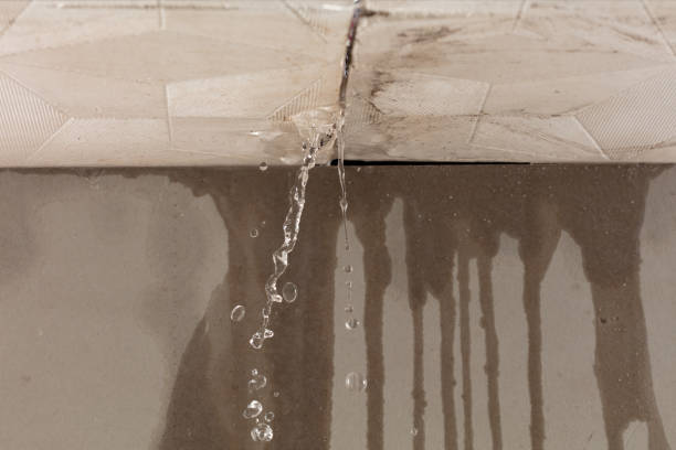 Professional Water Extraction technician working in North Dighton, MA